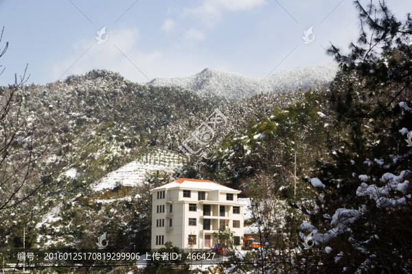 鄉(xiāng)村雪景,山岳,藍(lán)天白云樹