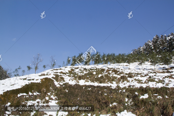 雪景風(fēng)光,山里村莊,雪中小道