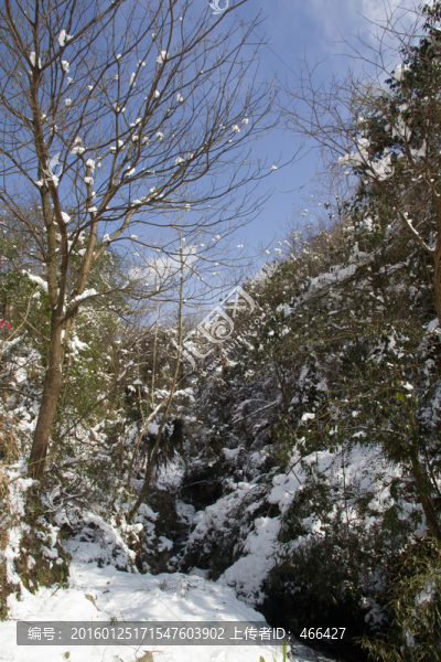 雪地風(fēng)景,小路,積雪鋪地