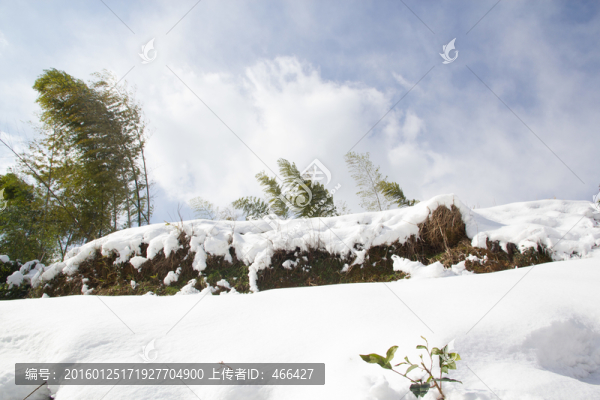 雪景風(fēng)光