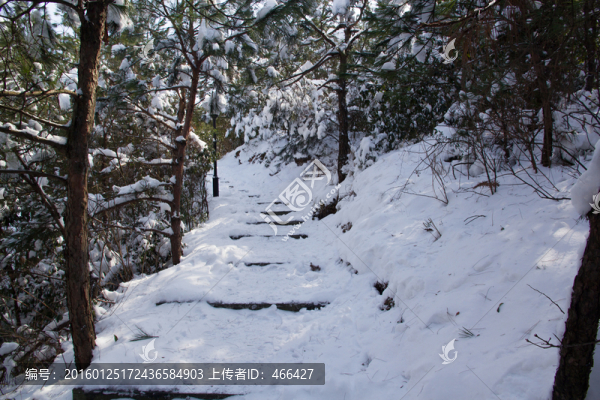雪景道路