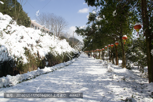 雪景道路大紅燈籠