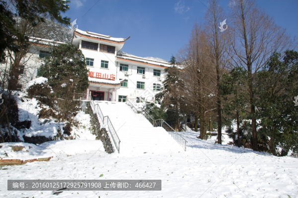 下雪天,小路,樹木,山村酒店