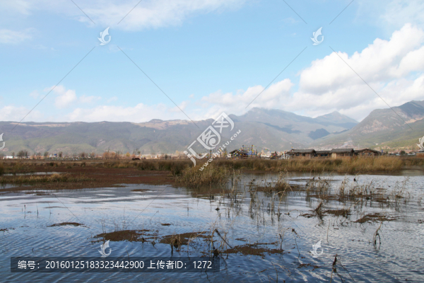 拉市海濕地國(guó)家公園