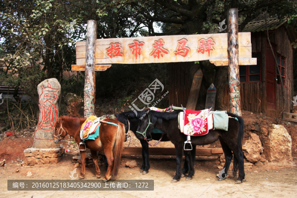 茶馬古道