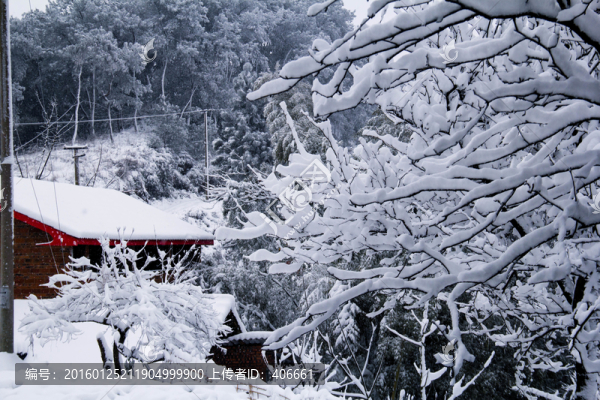 雪景