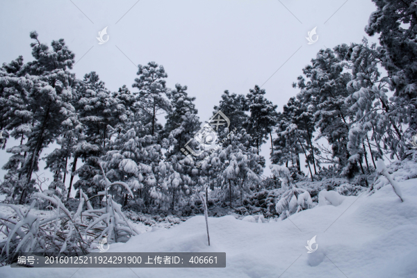 雪景