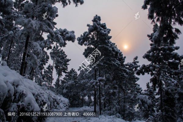 雪景