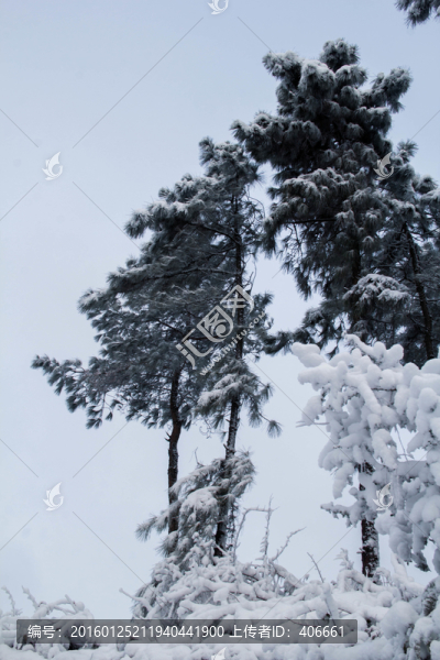 雪景