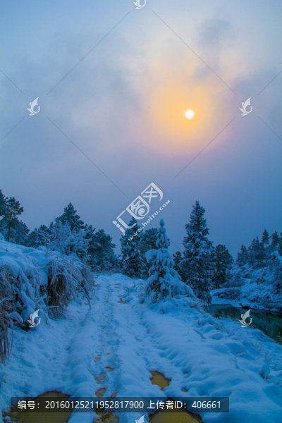 雪景