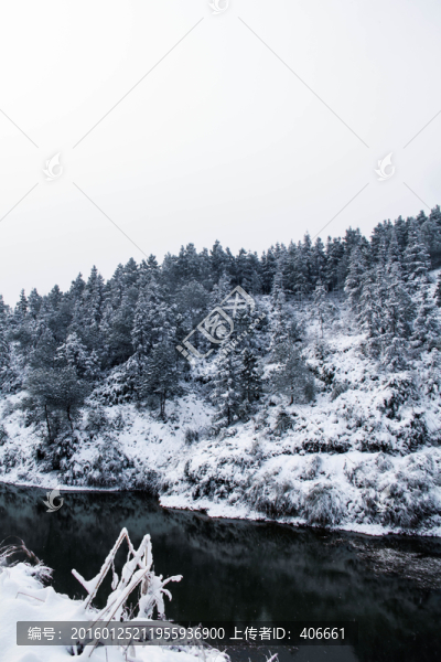 雪景