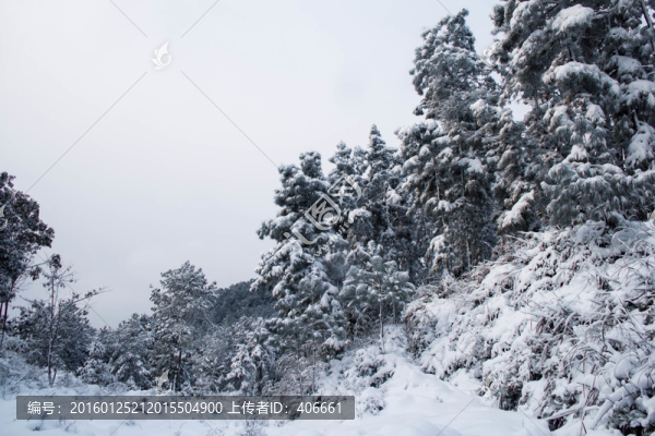 雪景