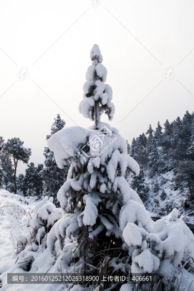 雪景