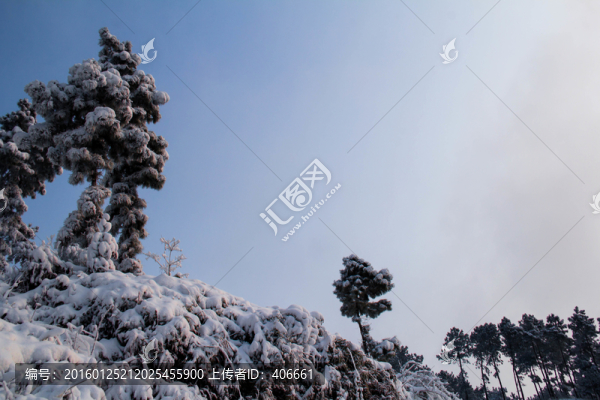 雪景