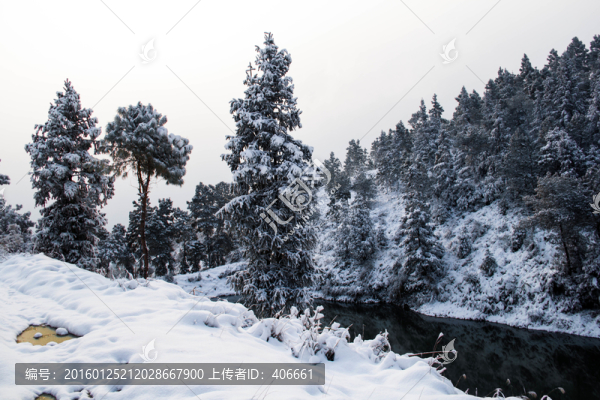 雪景