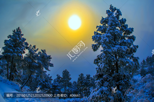 雪景