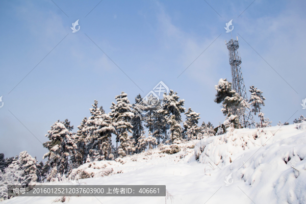 雪景