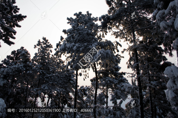 雪景