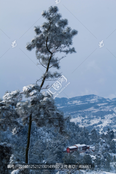 雪景