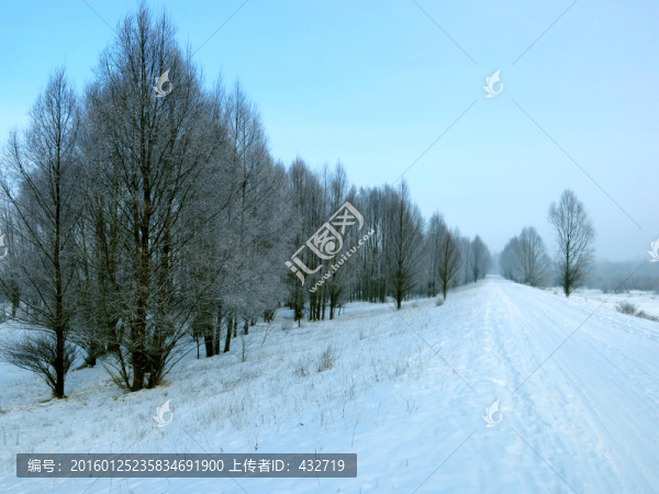 鋪滿積雪的道路