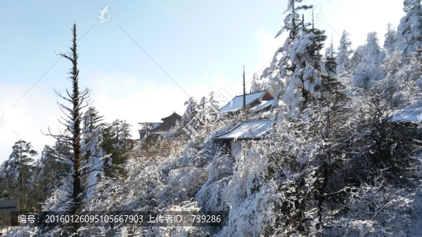 雪山