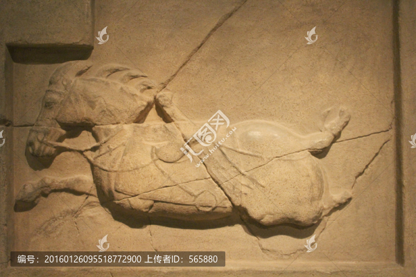 昭陵六駿石刻,白蹄烏