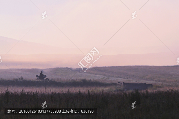 草原的早晨