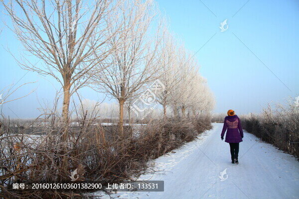雪景,藍(lán)天,霧凇