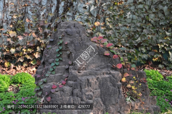 石頭