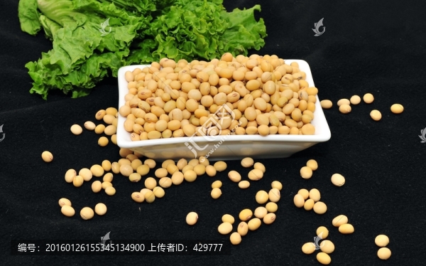 黃豆