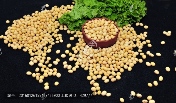 黃豆,大豆