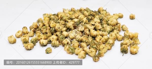 菊花茶,甘菊