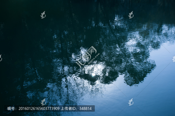 池塘
