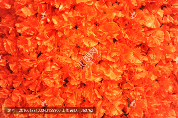 花瓣墻