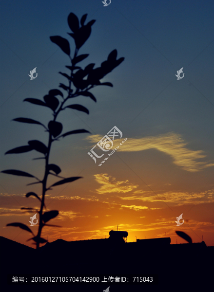 晚霞