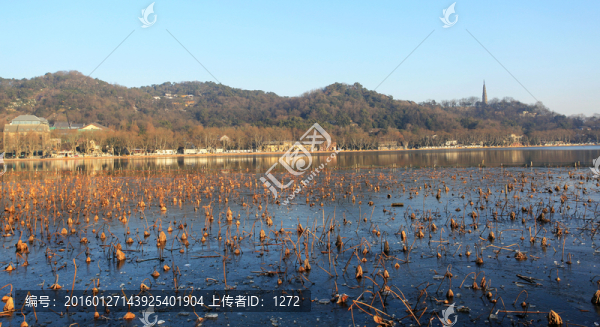 遠(yuǎn)眺保俶塔