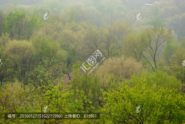 鄉(xiāng)村風景