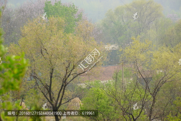 鄉(xiāng)村風(fēng)景