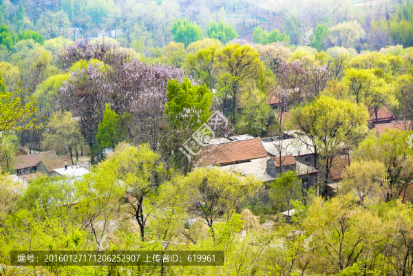 鄉(xiāng)村春景