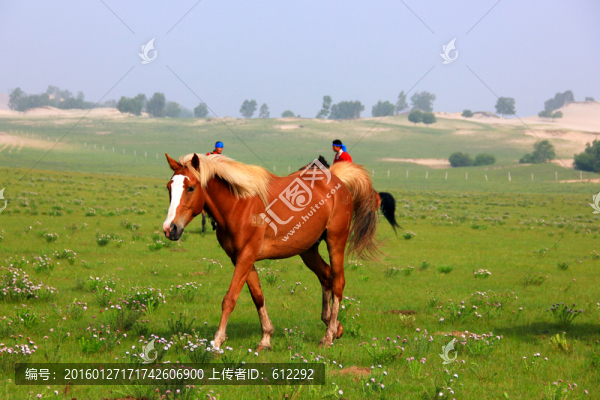 馬
