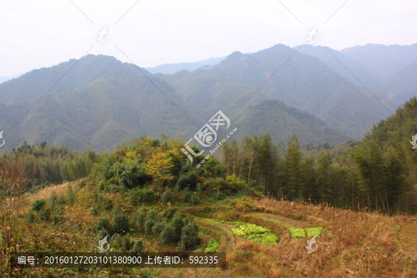 高山