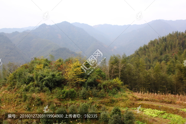 山區(qū)