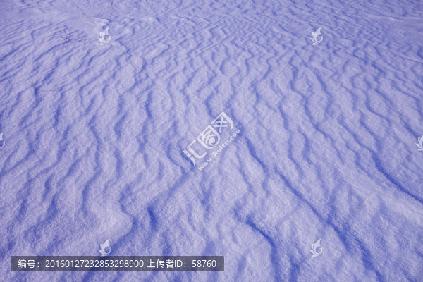 雪原雪痕