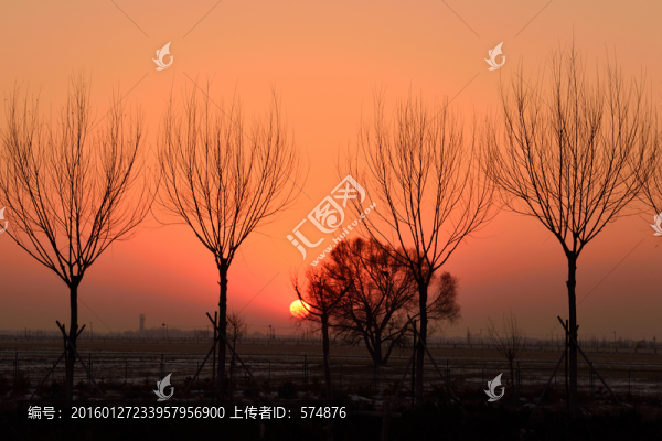 夕陽