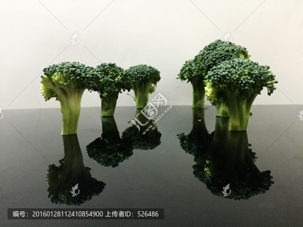 西蘭花