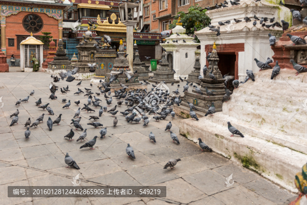 加德滿都寺廟建筑
