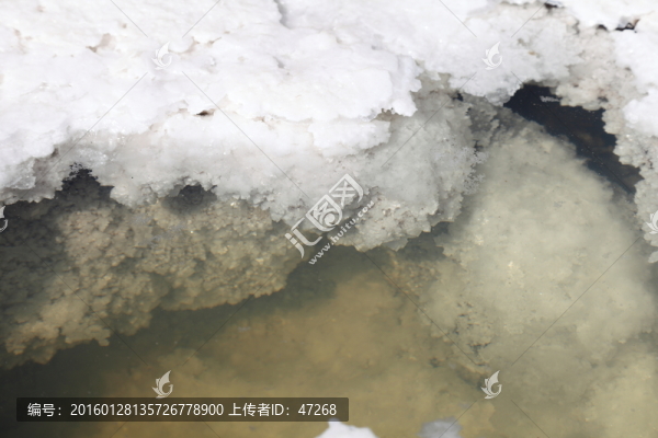 鹽湖