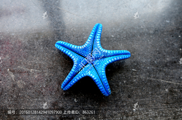 海星,工藝品