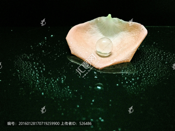 玫瑰花瓣