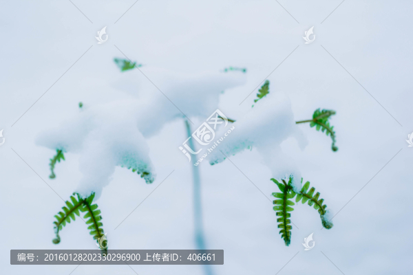 日系小清新